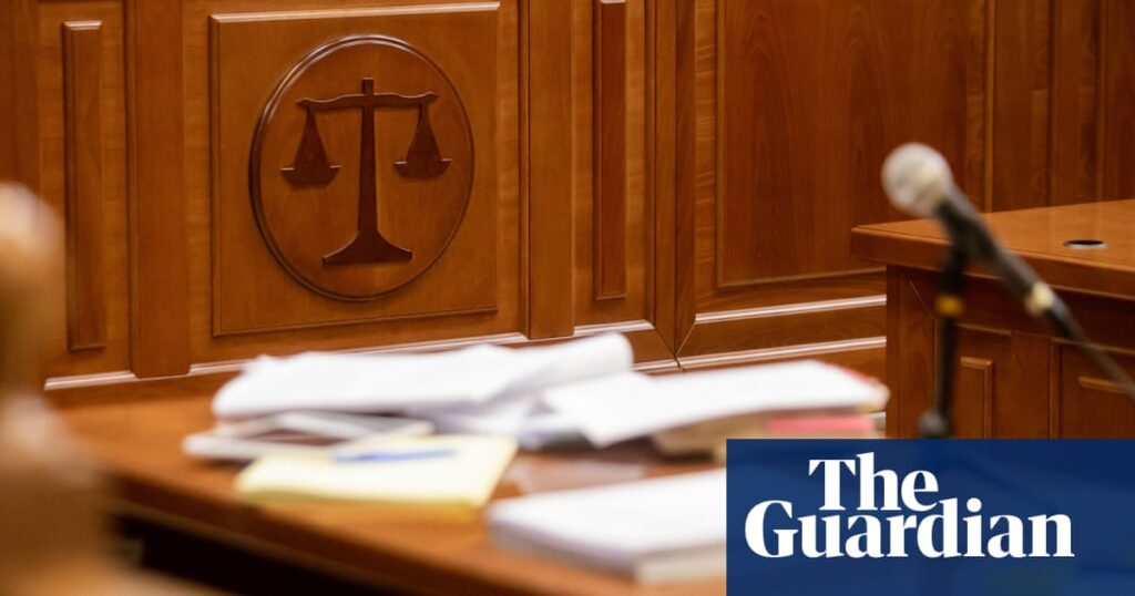 Psychologist who misled court about qualifications may have gone beyond remit in seven other cases | Family law