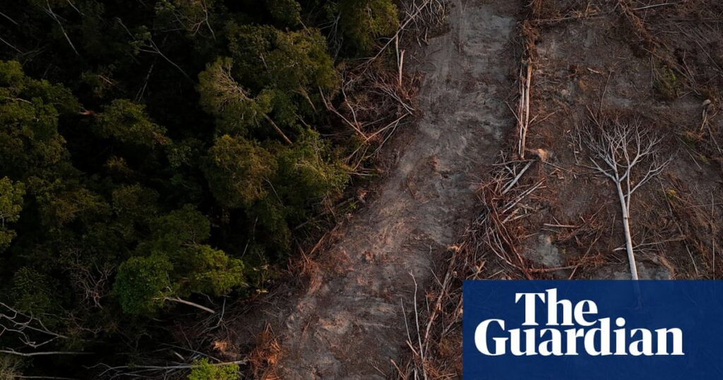 Rise in legal challenges over carbon credit schemes | Carbon offsetting