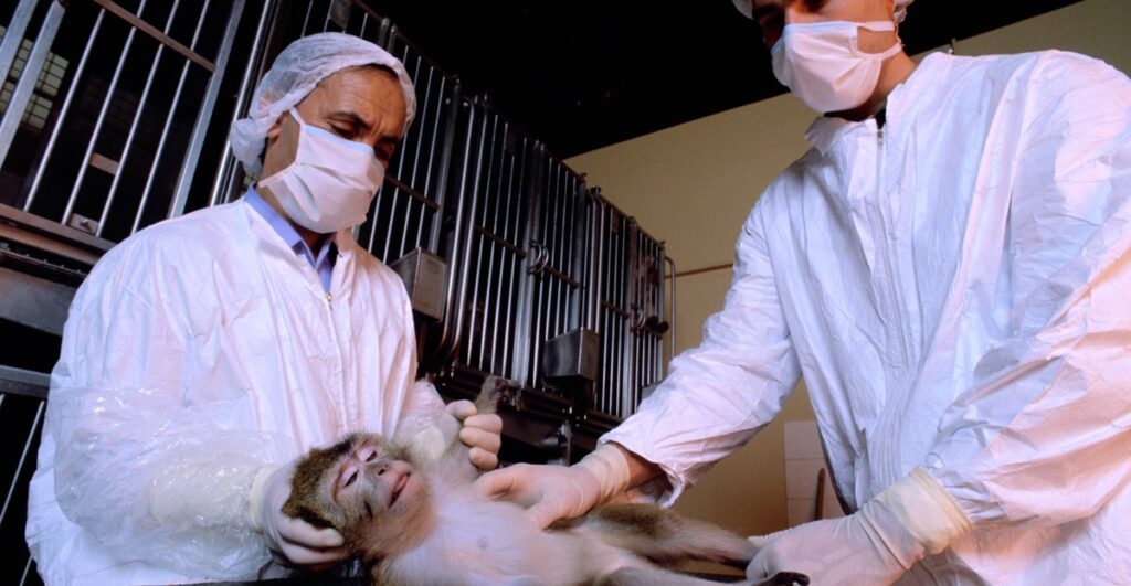 Why Trump’s defunding of an animal testing lab at Harvard is more complicated than it seems