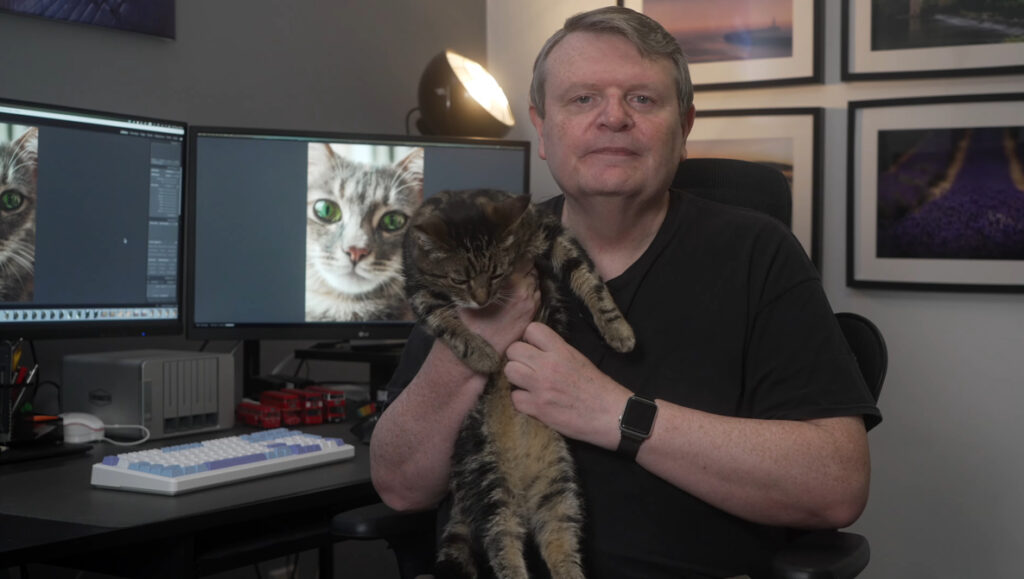 Why Your Cat Is Actually Your Best Photography Teacher