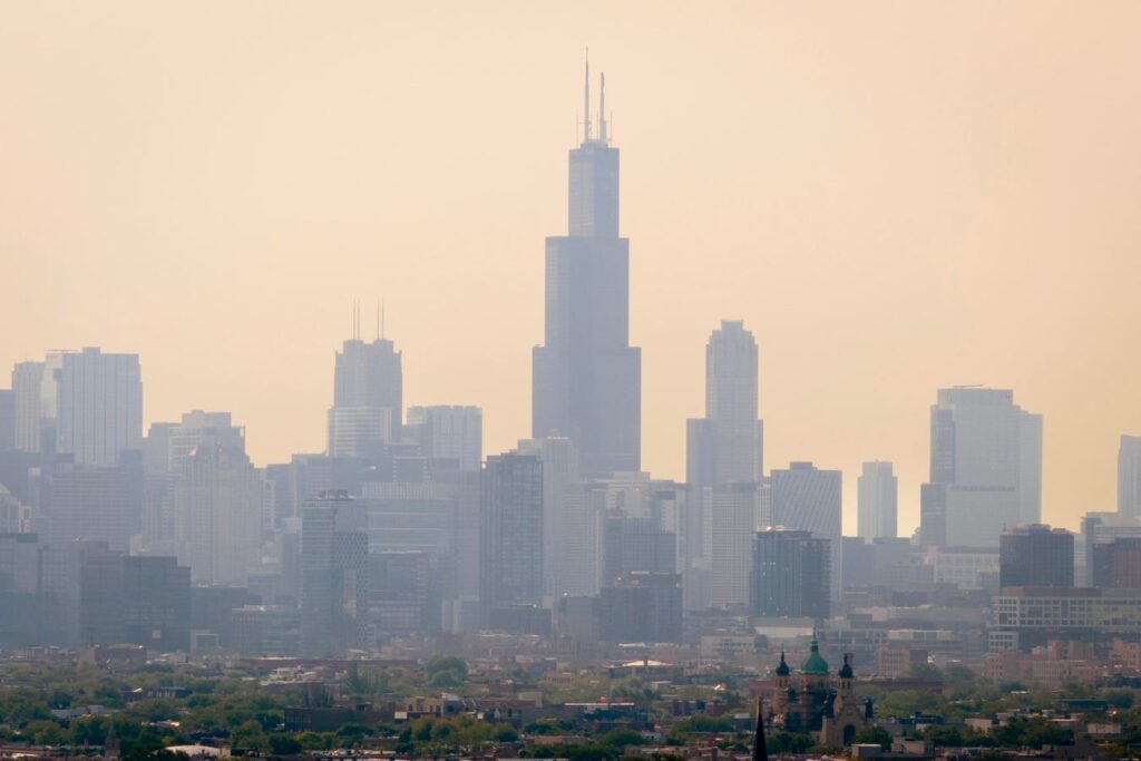 Wildfire Smoke Is Dangerous To Pets. Here’s How To Keep Them Safe