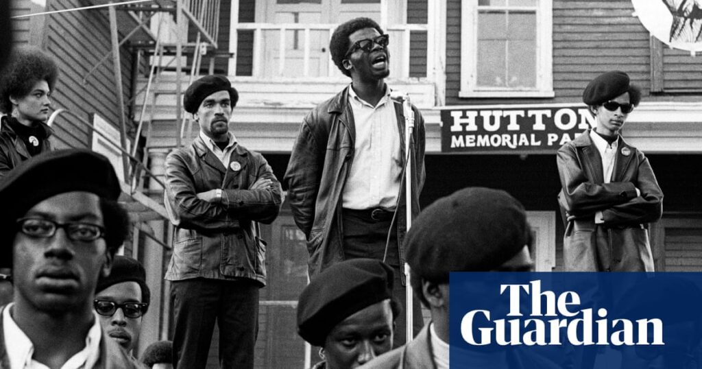 ‘I was one of the few people able to document it’: shooting the Black Panthers – in pictures | Art and design