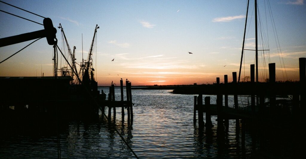 A Poem by Roey Leonardi: ‘Buying Shrimp at Bennetts Point’