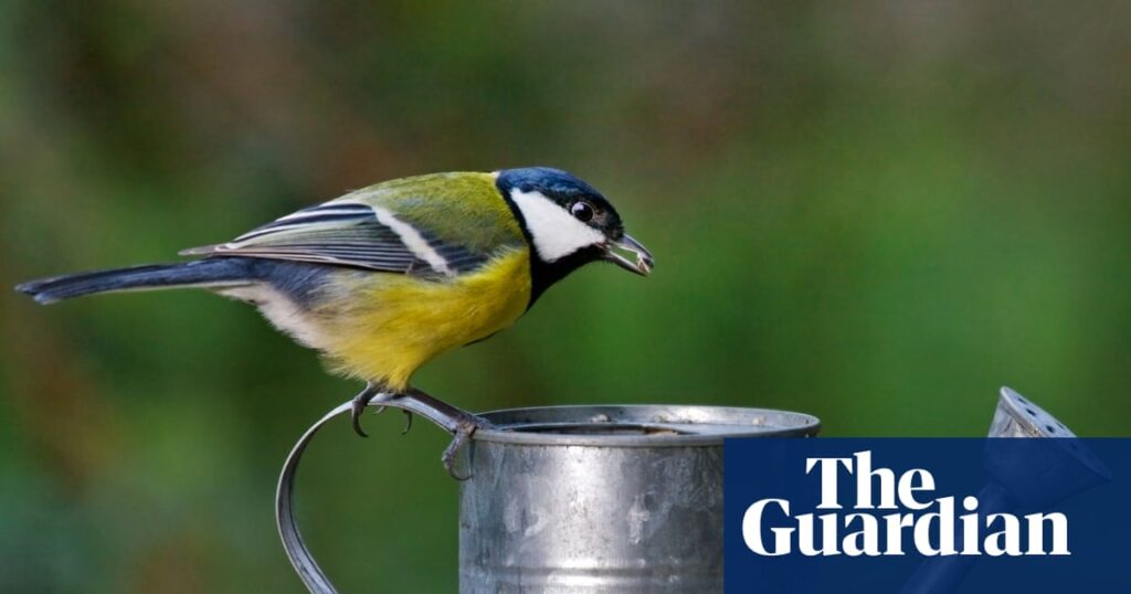 Crossword editor’s desk: time, space and revolutionary watering cans | Crosswords