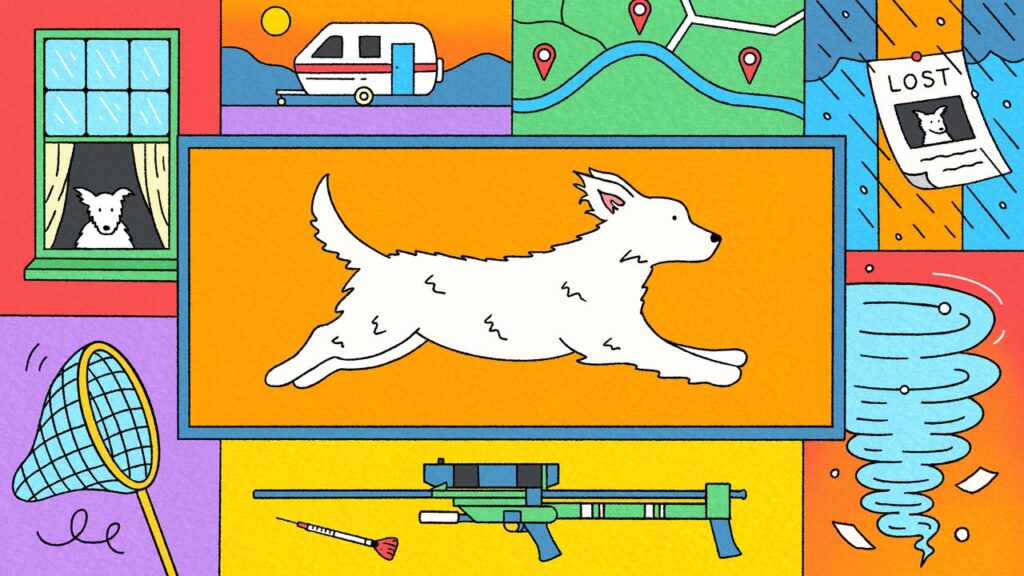 How to Save a Dog