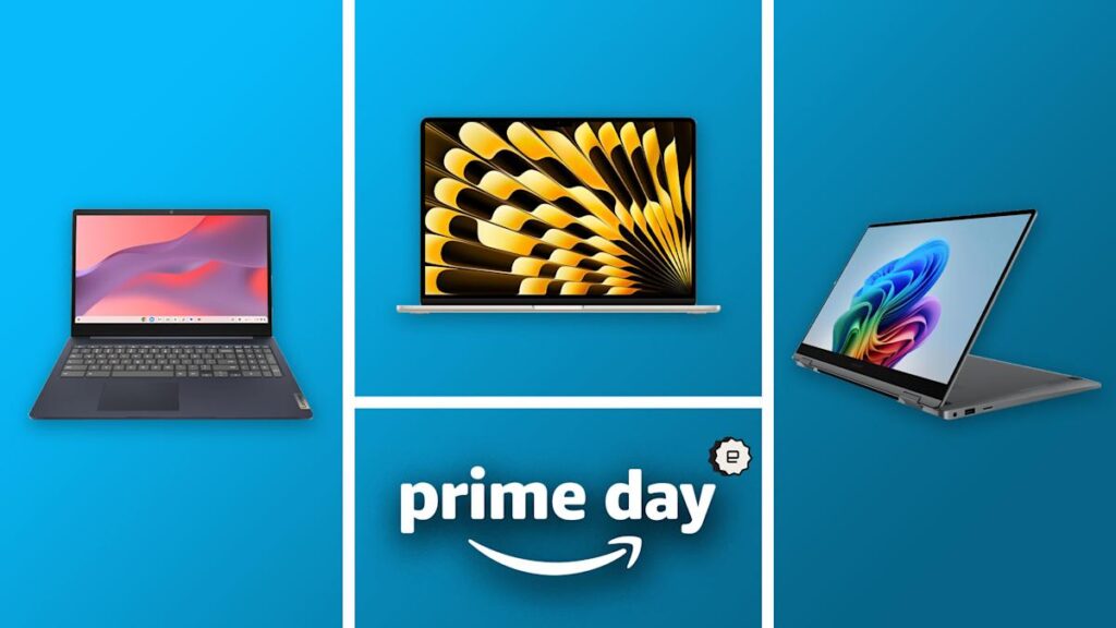 MacBooks, Windows 11 machines, Chromebooks and others