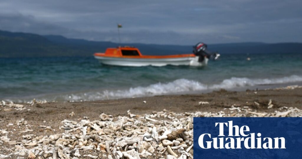 Nations who fail to curb fossil fuels could be ordered to pay reparations, top UN court rules | Climate crisis