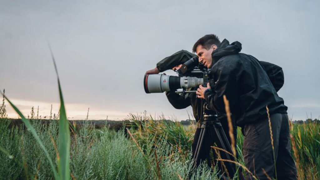 Sony announces free BURANO IR cut filter replacement program