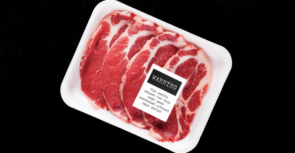 Switzerland’s new food labels will come with animal cruelty warnings