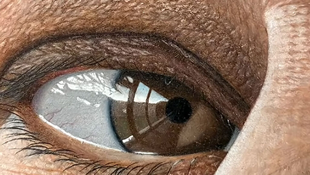 This hyper-realistic pencil drawing racked up 2.3 million views on TikTok – and took two years to create