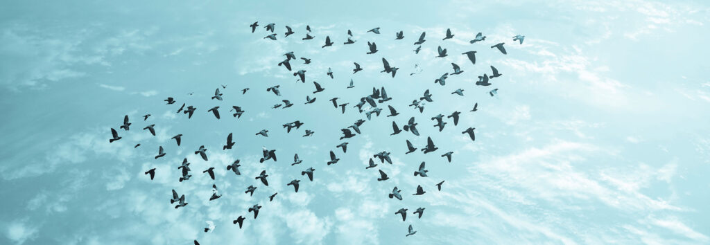 Top 10 Social Media Management Tools for 2025