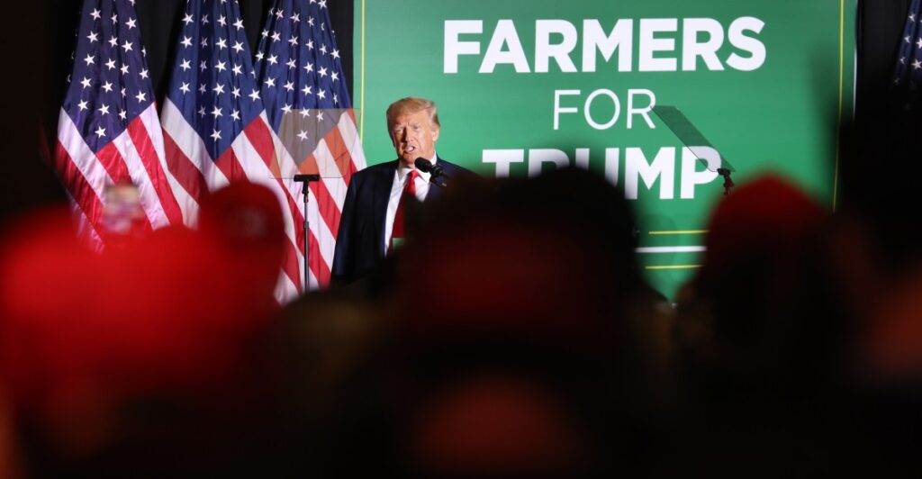Trump is attacking California’s cage-free law for high egg prices nationwide. That’s absurd.