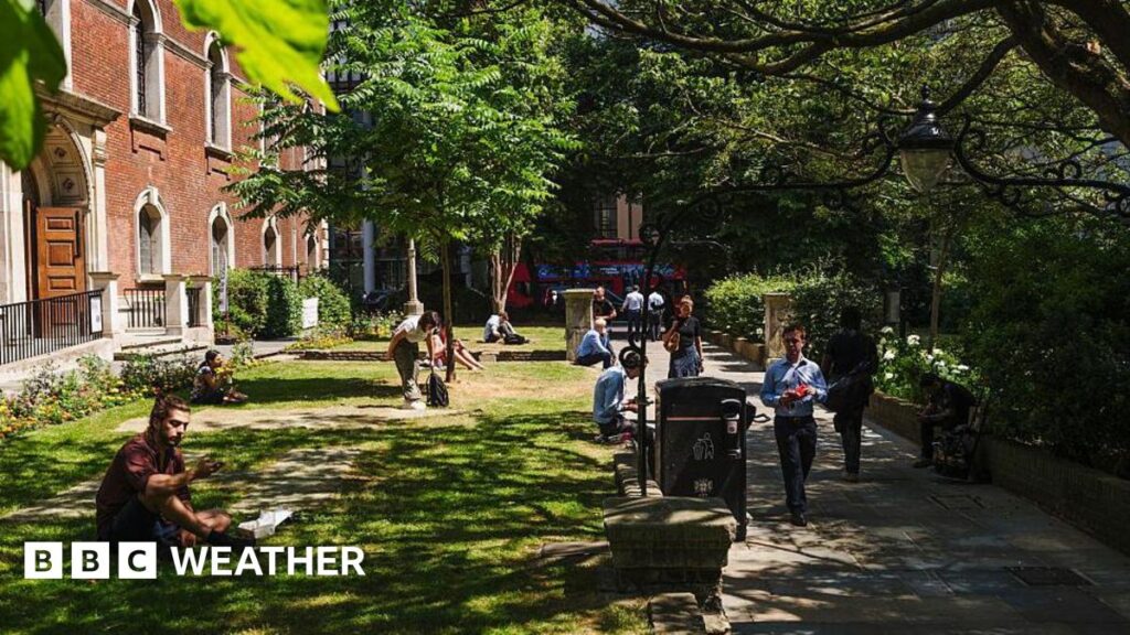 people taking shade from the heat underneath lush green trees