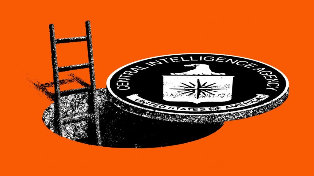What Will Become of the C.I.A.?