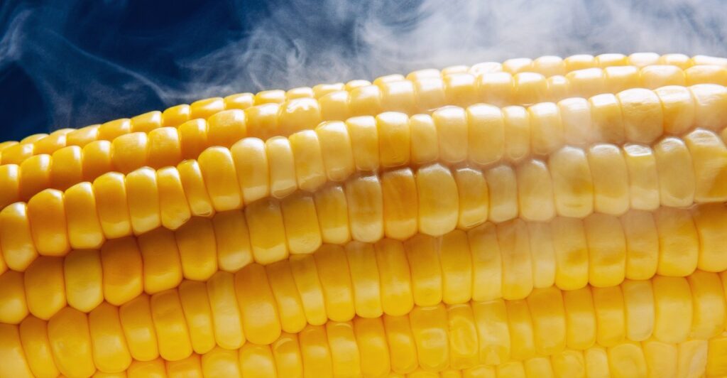 What is corn sweat? Extreme heat and sun makes humidity in the Midwest soar