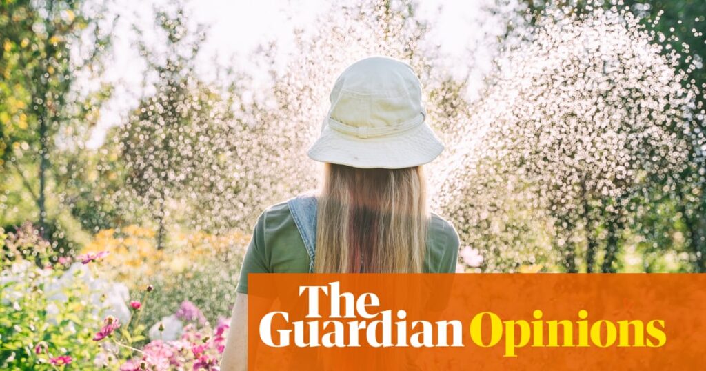 Why do I still see my siblings as the people they were in childhood? | Zoe Williams