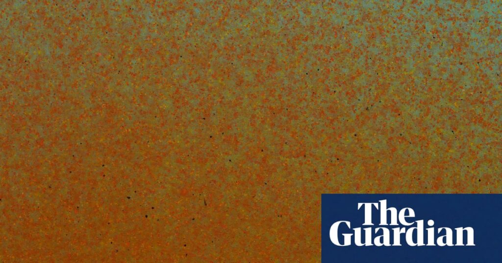 ‘They digest externally’: the artist who creates paintings with live flies | Art