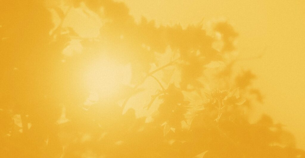 A Poem by Prageeta Sharma: ‘Irresistible Contentment’