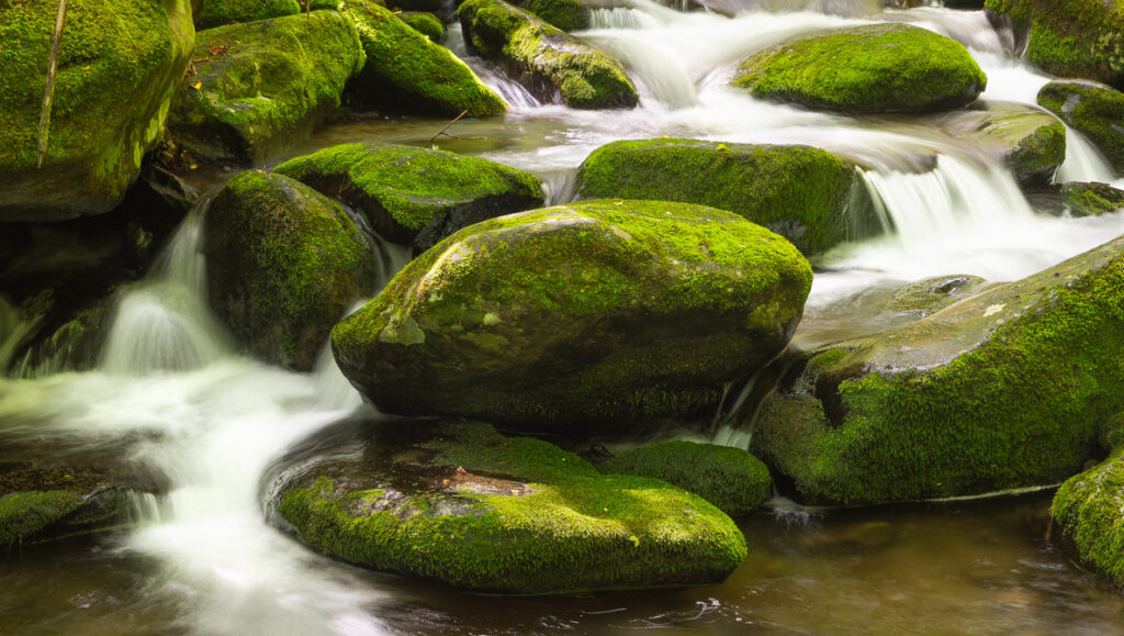 Can Photography and Vacations Really Coexist?