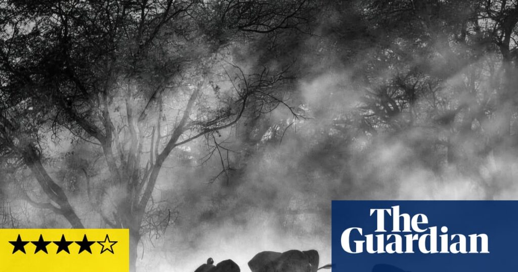 Ghost Elephants review – Werner Herzog embarks on a mission to track down giant jumbos | Venice film festival