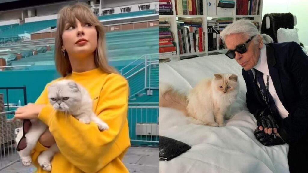 International Cat Day: Meet the richest cats in the world!