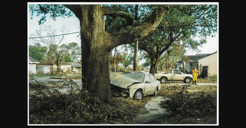Life Before Katrina—And After It