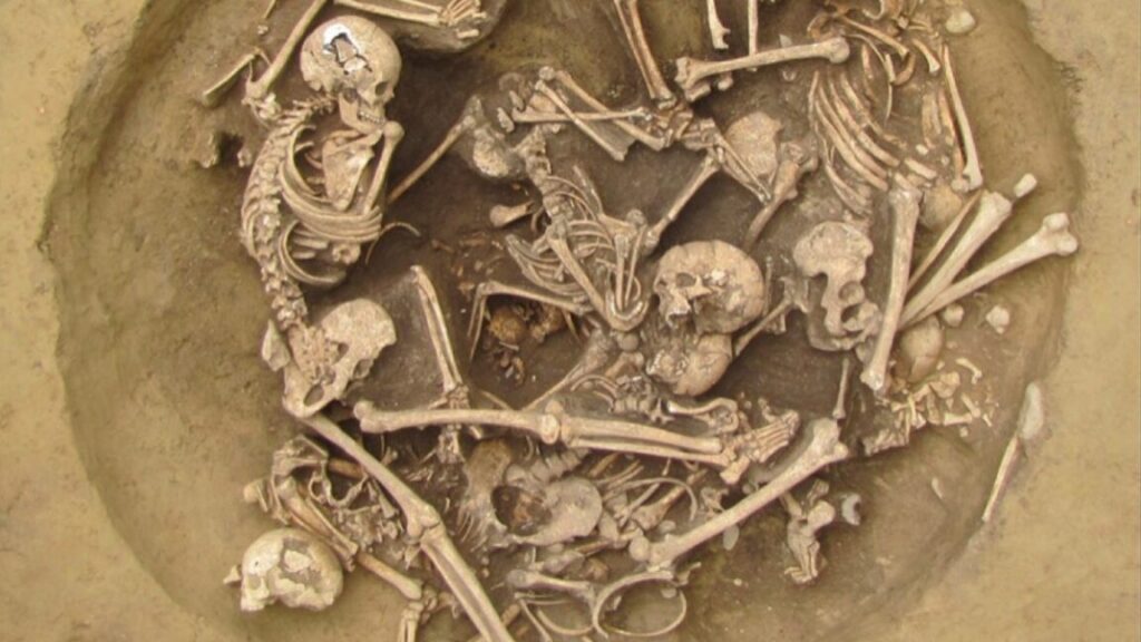 Overhead views of late Middle Neolithic violence-related human mass deposits in Pit 157 of the Alsace region, France