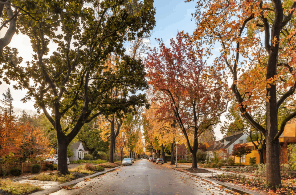 The hidden cost of living amid Mark Zuckerberg's $110M compound