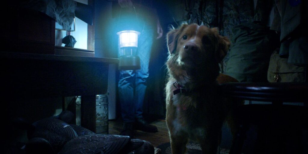 Why Is Everyone Talking About The 'Good Boy' Trailer?
