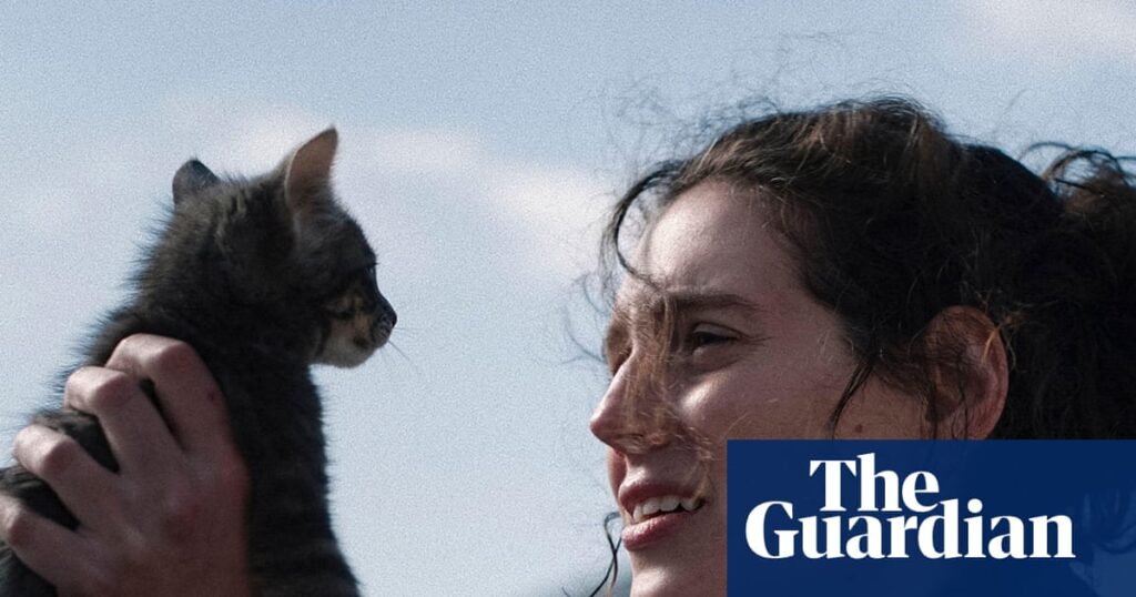 ‘It’s like a stone gets shoved into the river of your life’: Eva Victor on sexual assault drama Sorry, Baby | Movies