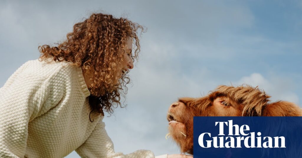 ‘Warm and fuzzy’: would you cuddle a Highland cow? | South Australia holidays