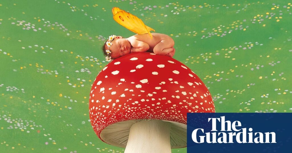 ‘We popped the baby in a flowerpot!’ Anne Geddes on the beloved photos that made her famous | Photography
