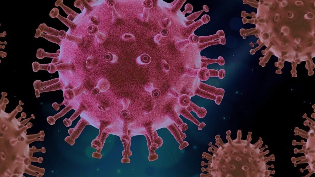 Chronic disease deaths decline globally; India sees an increase, says Lancet study