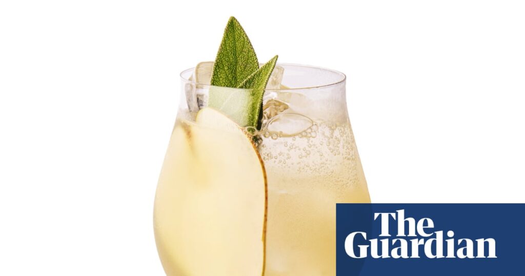 Cocktail of the week: Courtyard Wine Cellar’s pear and white wine fizz – recipe | Cocktails
