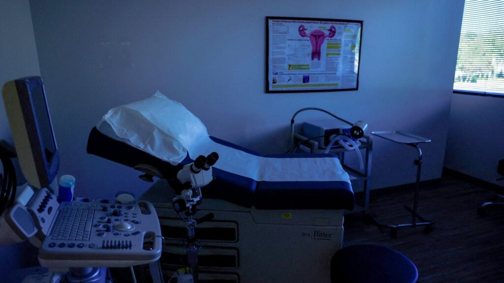Do State Referendums on Abortion Work?