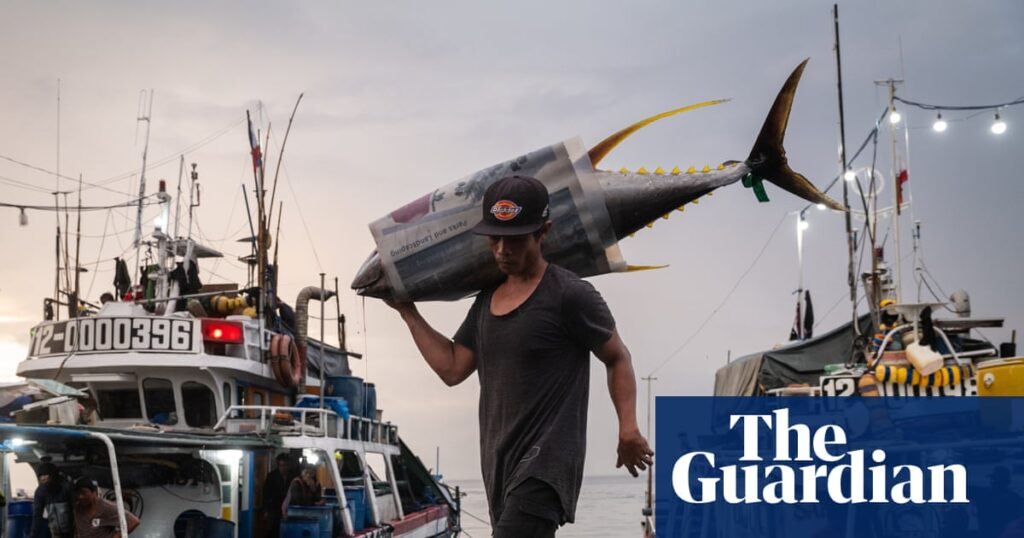 Draining the sea: fishing in crisis in south-east Asia – in pictures | Environment
