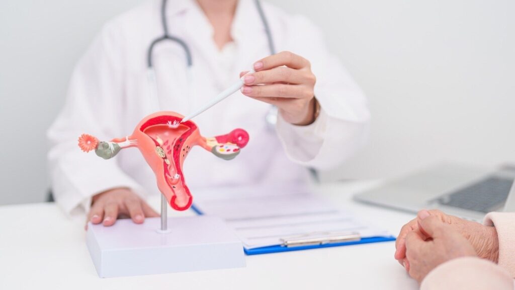 Gynaecologist explains what your period reveals about fertility and reproductive health: ‘Irregular cycles can be…'