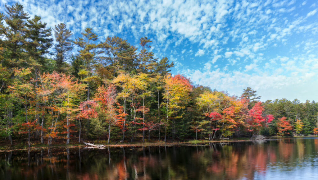 How to Turn Flat Fall Shots Into Lively Landscapes