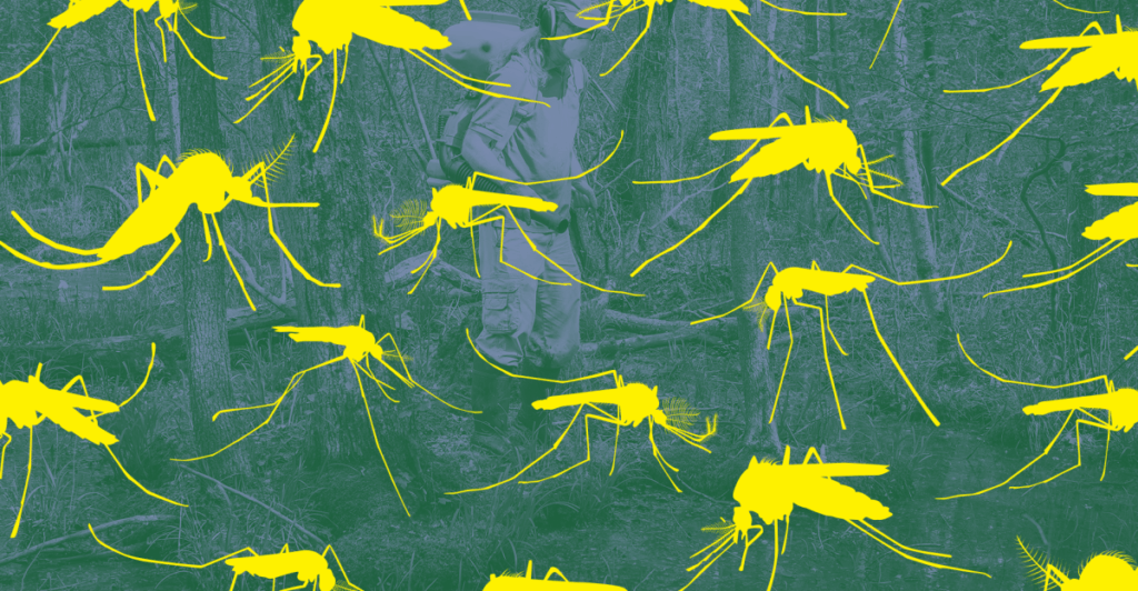 Introducing Vox’s project on vector-borne disease threats