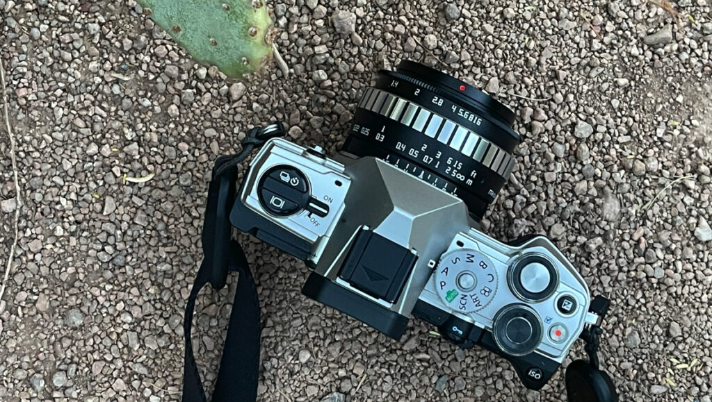 Micro Four Thirds Lenses Worth Adding to Your Bag