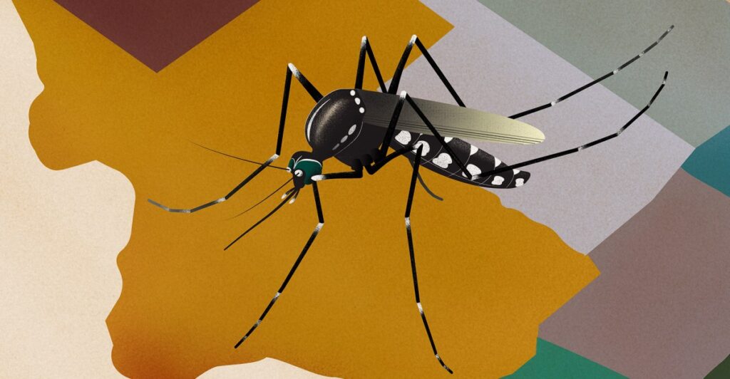 Mosquito-borne disease are making a comeback in the US. Brownsville, Texas, has mounted a surveillance system that can help detect these new risks.