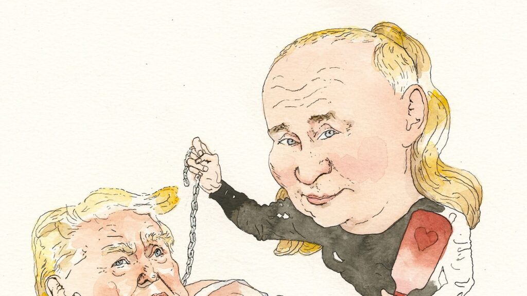 Red, White, and Bruised | The New Yorker