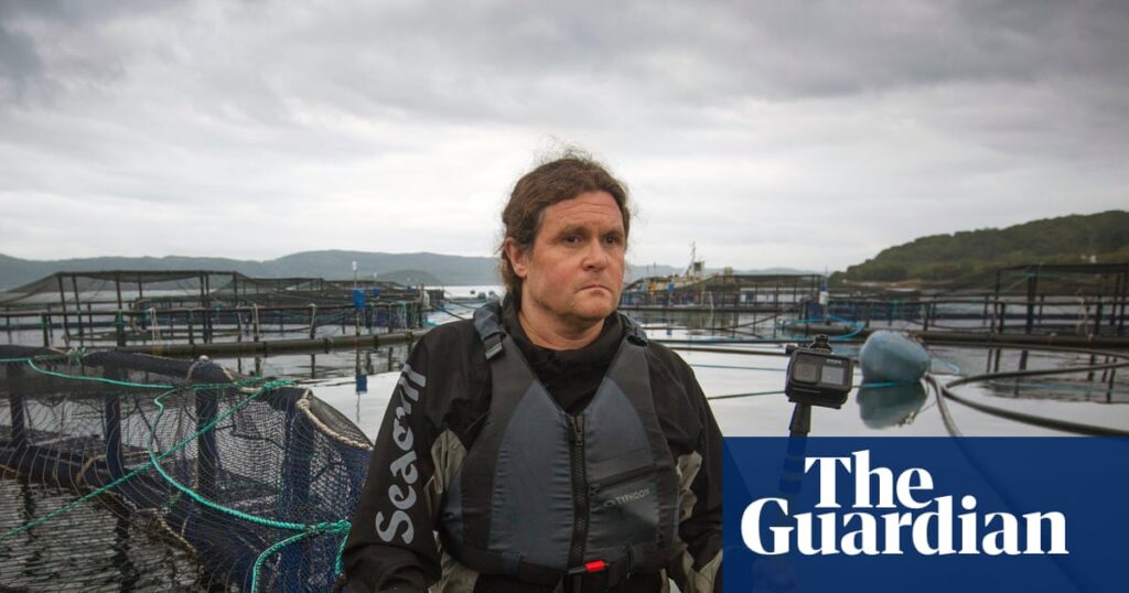 Salmon farmer accused of blocking UK investigations into alleged animal rights breaches | Fishing industry