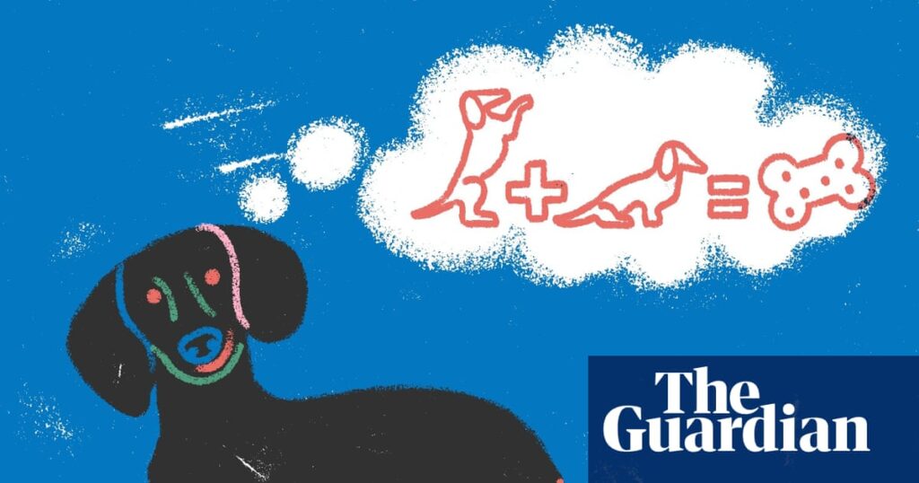 Sit, stay and manage expectations: how to start training your dog | Well actually