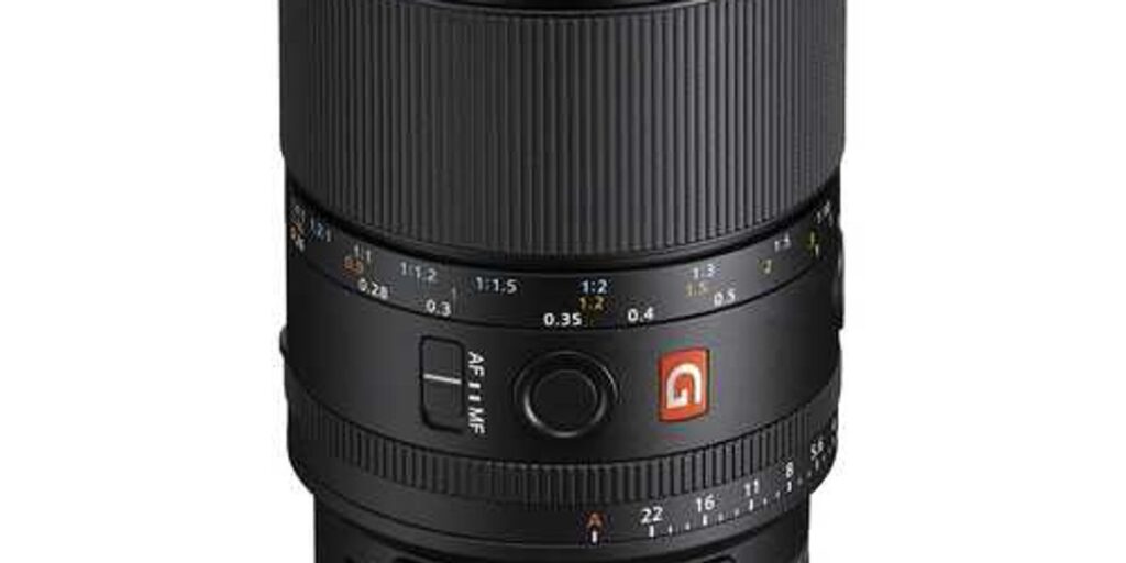 Sony FE 100mm f/2.8 Macro GM Lens