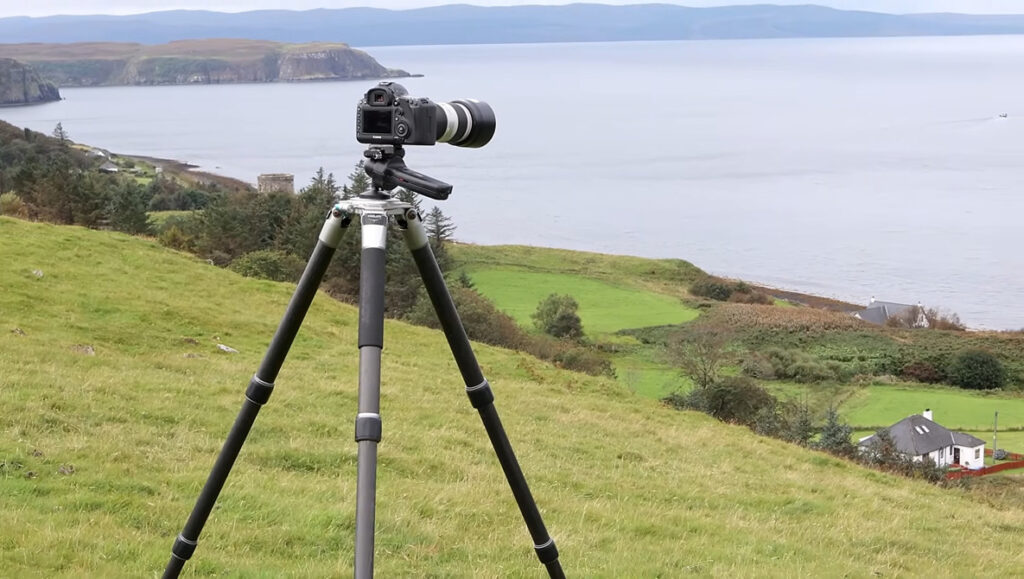 Teleconverters: When They Beat Buying Another Lens
