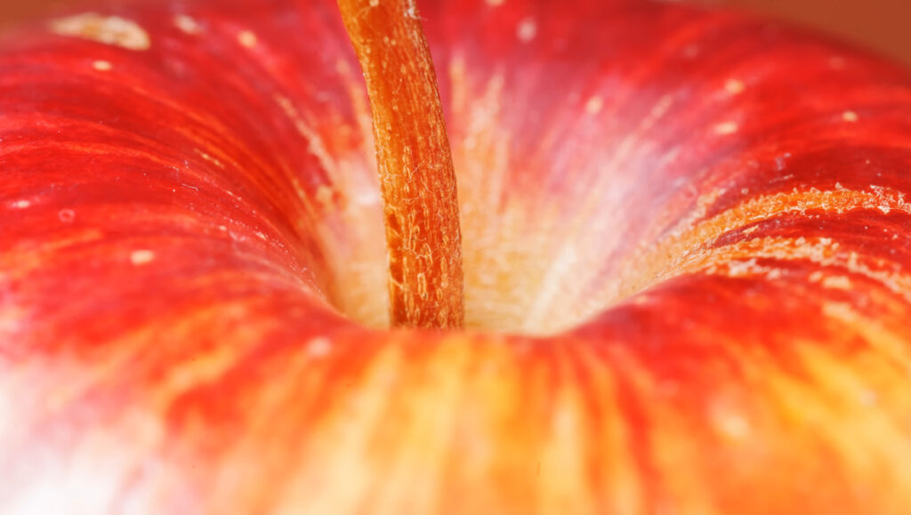 The Venus Laowa 180mm f/4.5 Macro Lens Brings 1.5x Magnification in a Compact Build