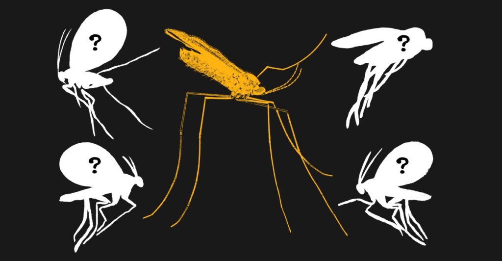 We still haven’t documented 90 percent of animals on Earth