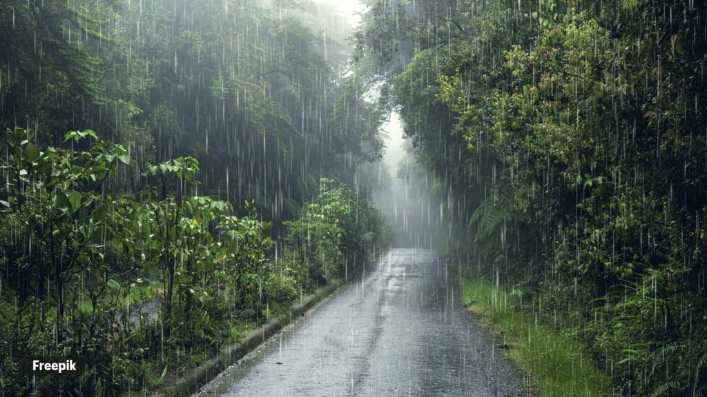 Petrichor