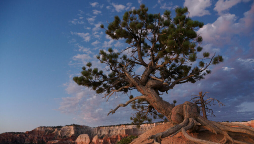 Why the OM-3 Mirrorless Camera Stands Out for Travel and Landscape Shooting Why the OM-3 Mirrorless Camera Stands Out for Travel and Landscape Shooting